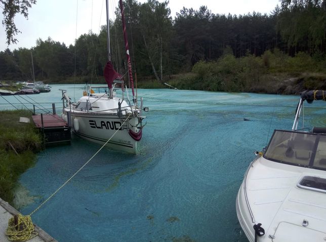   Stink and sheepskin coat cyanide 5cm - Tresta yacht harbor on the Sulejowski lagoon in Łódź 