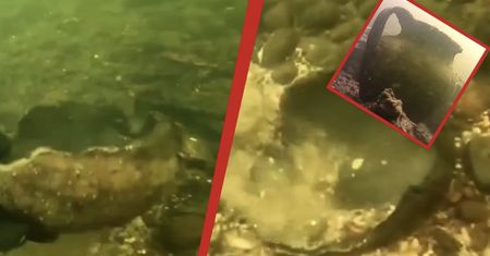 Gwda jest jak Sezam. Co rusz można tu znaleźć prawdziwe skarby