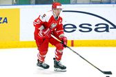 Hokej: Turniej EIHC w Sosnowcu - mecz: Polska - Włochy