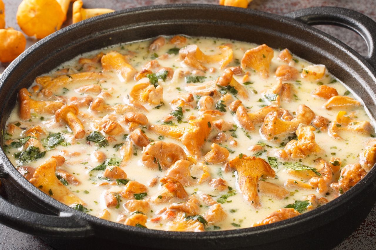 Grandma's secret: Chanterelles in cream recipe revisited