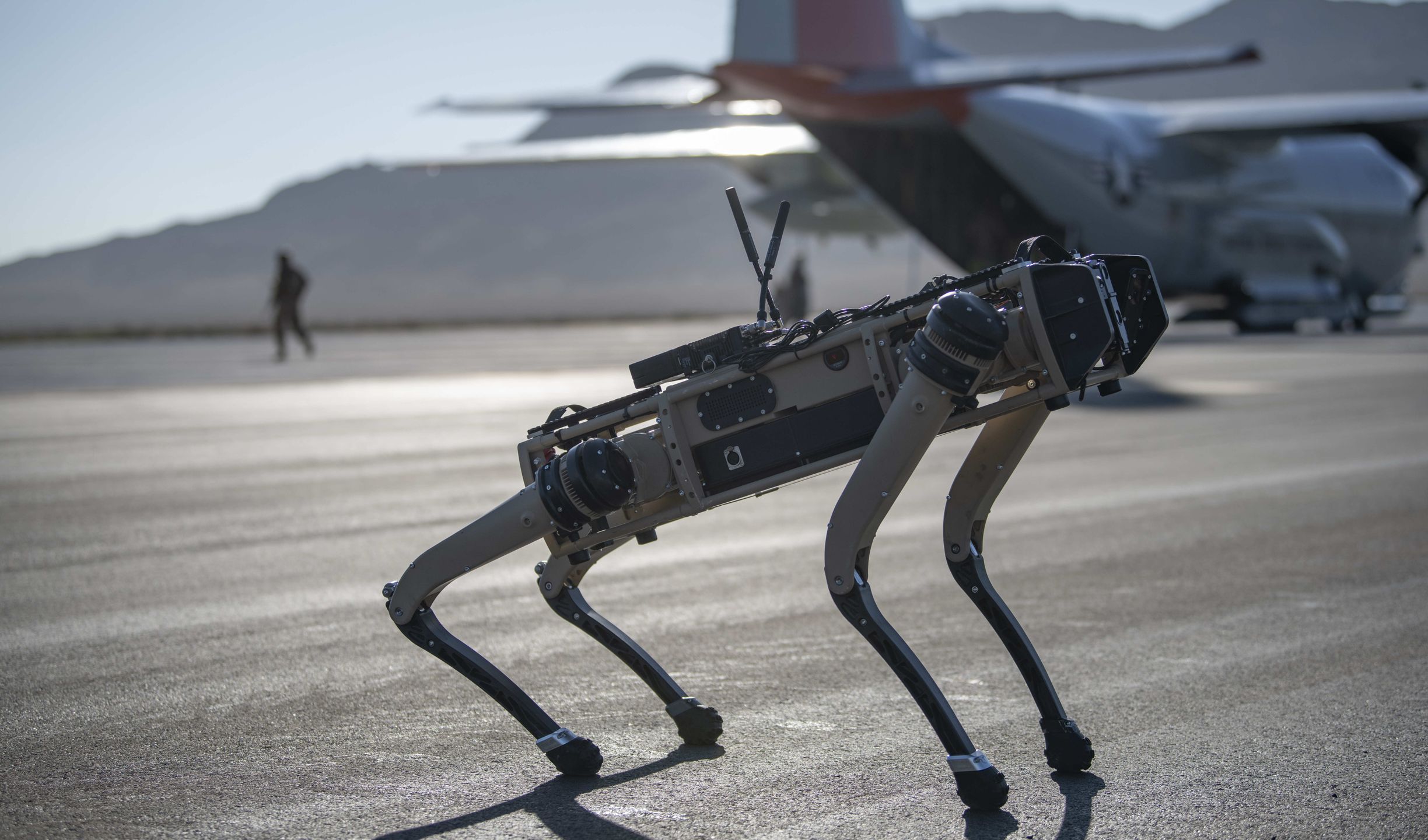 Zdjęcie dnia. Psy-roboty będą strzec amerykańskich baz 3