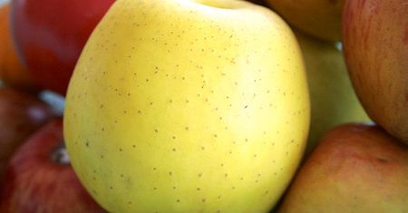 Surowe jabłka Golden Delicious ze skórką