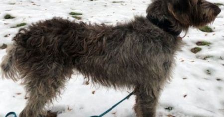 Nikt nie wie, jak to zrobił. Uciekinier z Białorusi czeka na adopcję