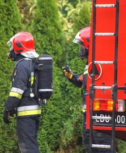 Pod ziemią znajdowały się szczepionki. Wszystko na terenie produkującej je lubelskiej firmy