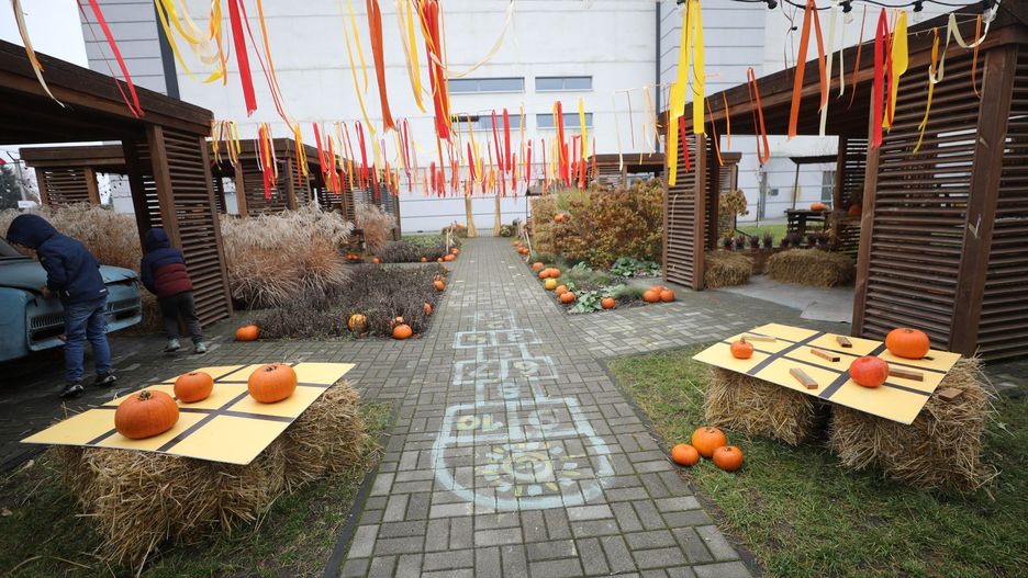 Dyniowa Przystań w Będzinie, a raczej to co z niej zostało. Tak prezentuje się teraz sezonowa atrakcja Zagłębia. Zobaczcie zdjęcia