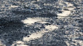 Mecze Pszczół z Lwami przełożone