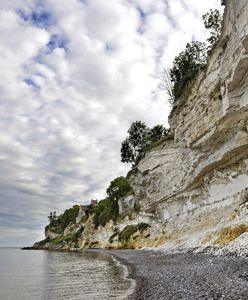 Wyjątkowe odkrycie. Fragment pterodaktyla znaleziony w nadbałtyckim kraju