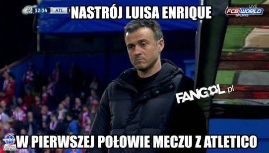 Fot. fangol.pl