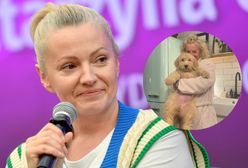 Dorota Szelągowska chwali się nowym psem, a fani pytają, co się stało z poprzednim. Celebrytka ucięła spekulacje