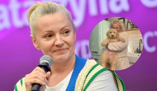 Dorota Szelągowska chwali się nowym psem, a fani pytają, co się stało z poprzednim. Celebrytka ucięła spekulacje