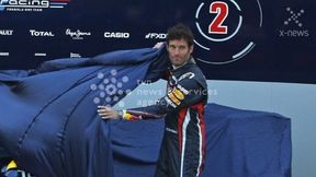 Ekspert przekonuje: Red Bull nie złoży broni