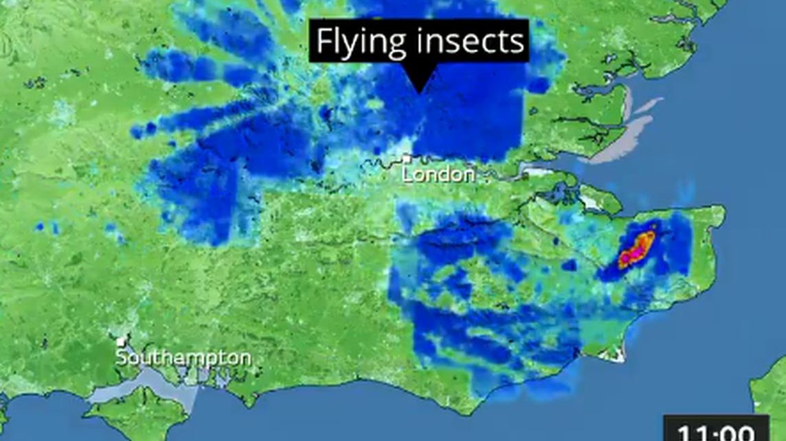 Widom na radarze pokazał, że nad Londynem zbierają się nie tylko deszczowe chmury. 