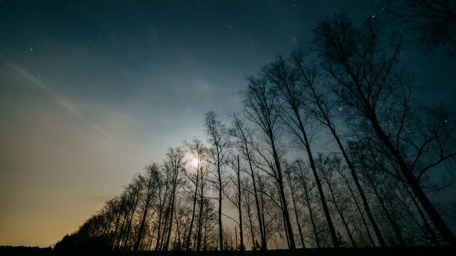 W tym roku rolę "pierwszej gwiazdki" przyjmie Jowisz