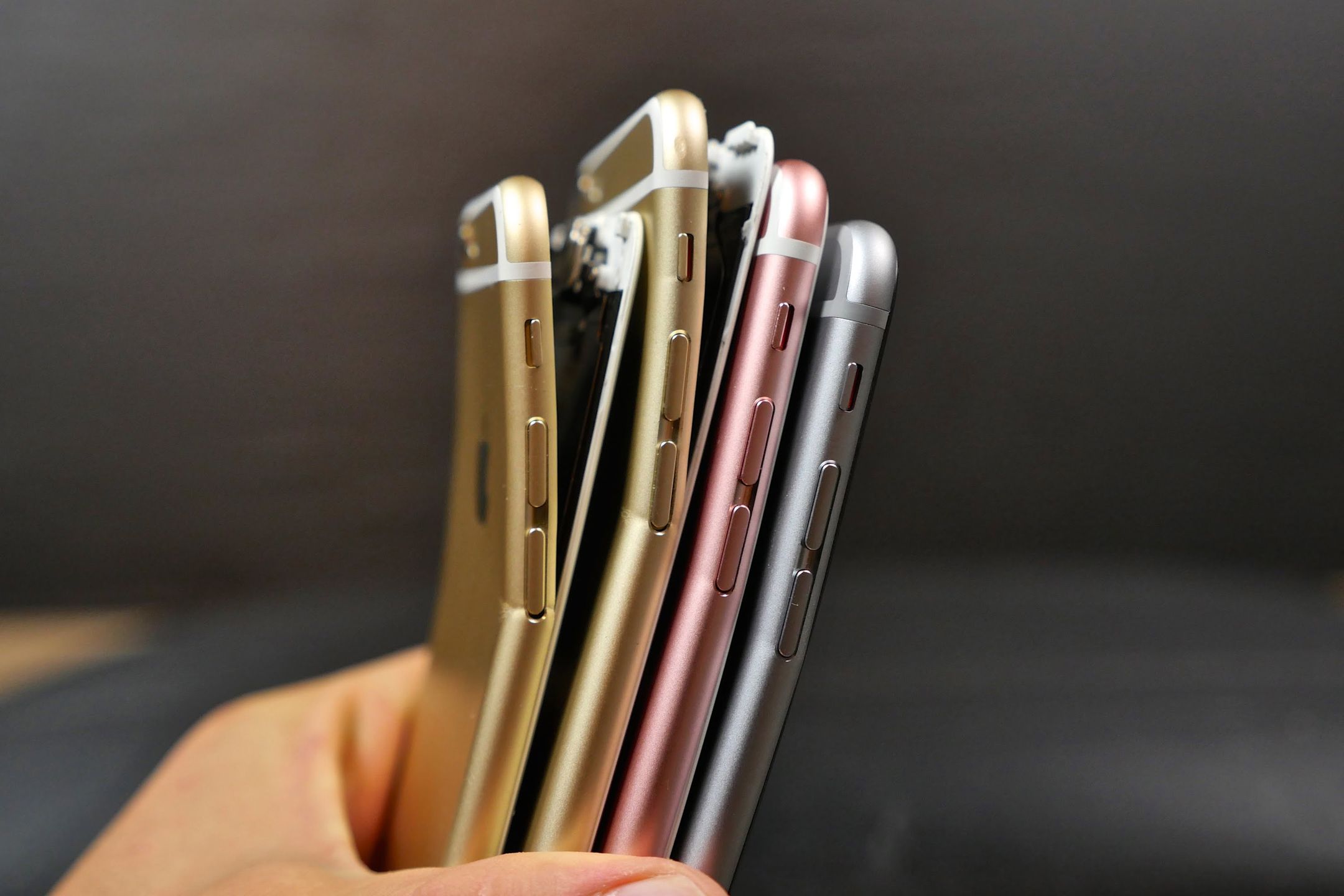Od lewej: iPhone 6, 6 Plus, 6s Plus i 6s