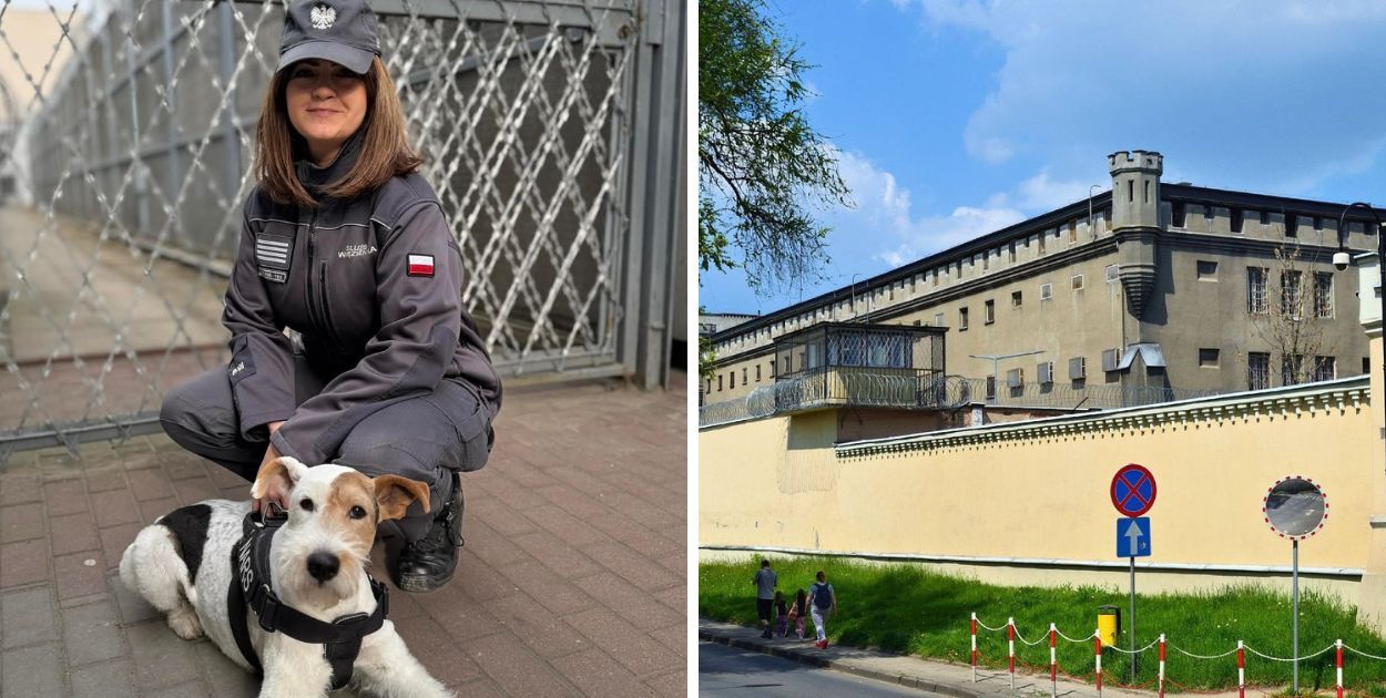 Bohaterska reakcja funkcjonariuszki w Płocku. Przerwała przemoc wobec kobiety!