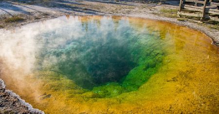 Yellowstone. Gotowali kurczaka w gejzerze. Strażnikom opadły ręce