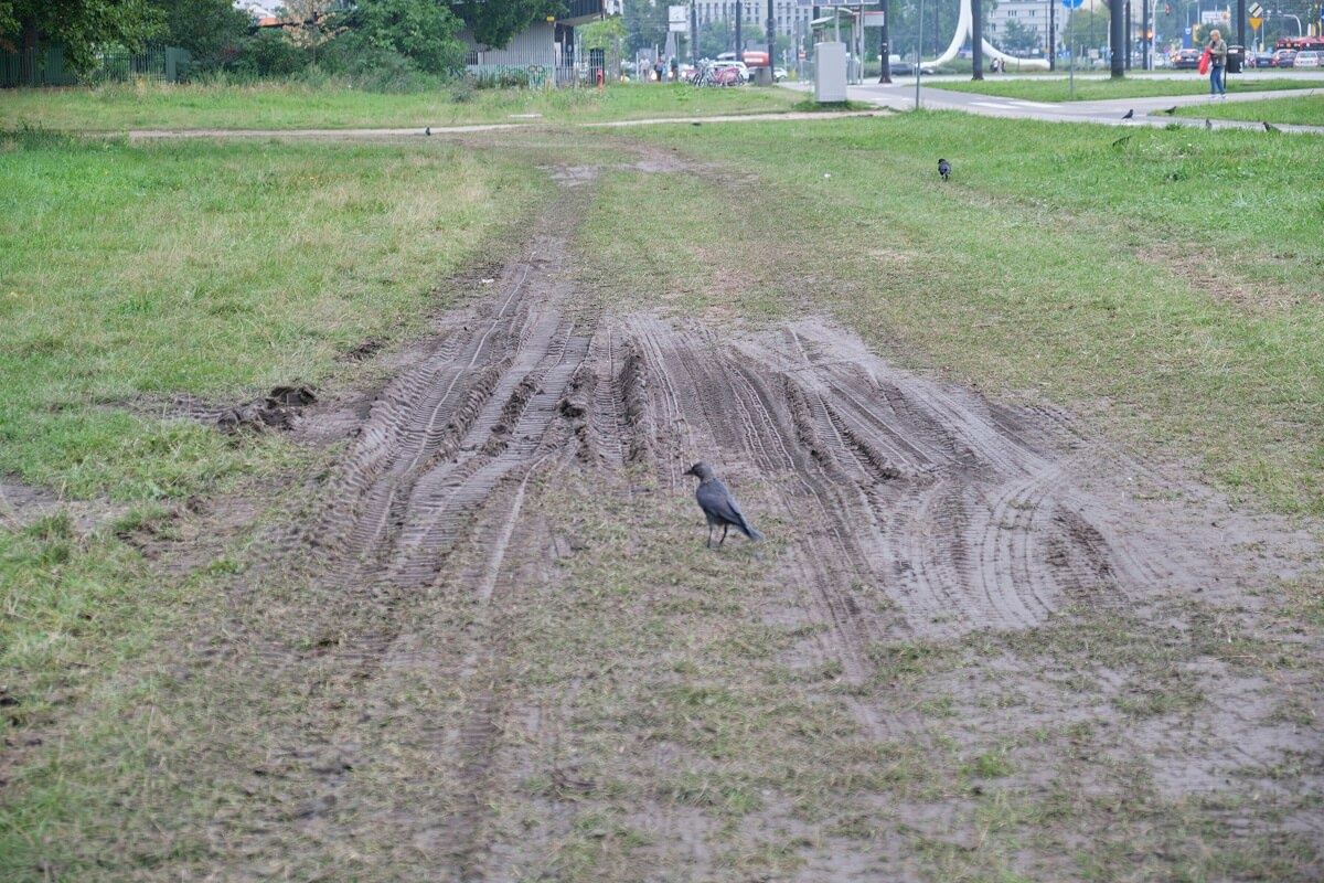 Błonia pod Zamkiem po pikniku wojskowym