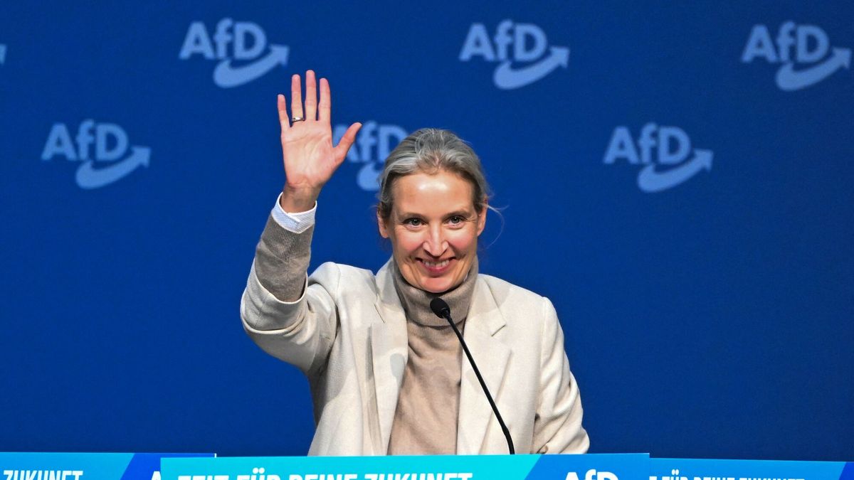 Liderka AfD, Alice Weidel