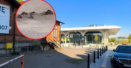 "Szczurze ZOO" w okolicach nowego dworca w Lublinie. "Naliczył 30"