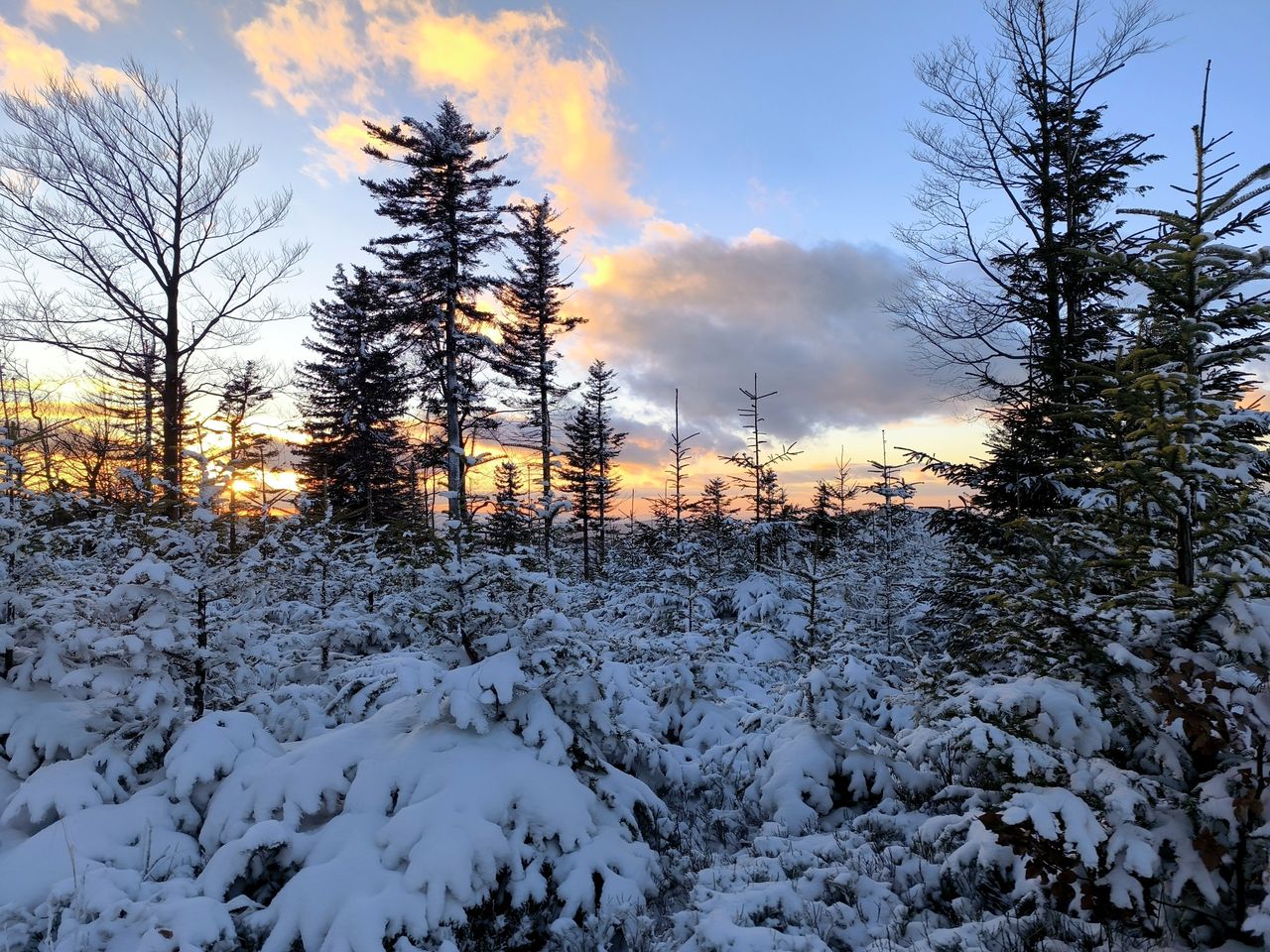 Zachód słońca na Klimczok i Szyndzielnia