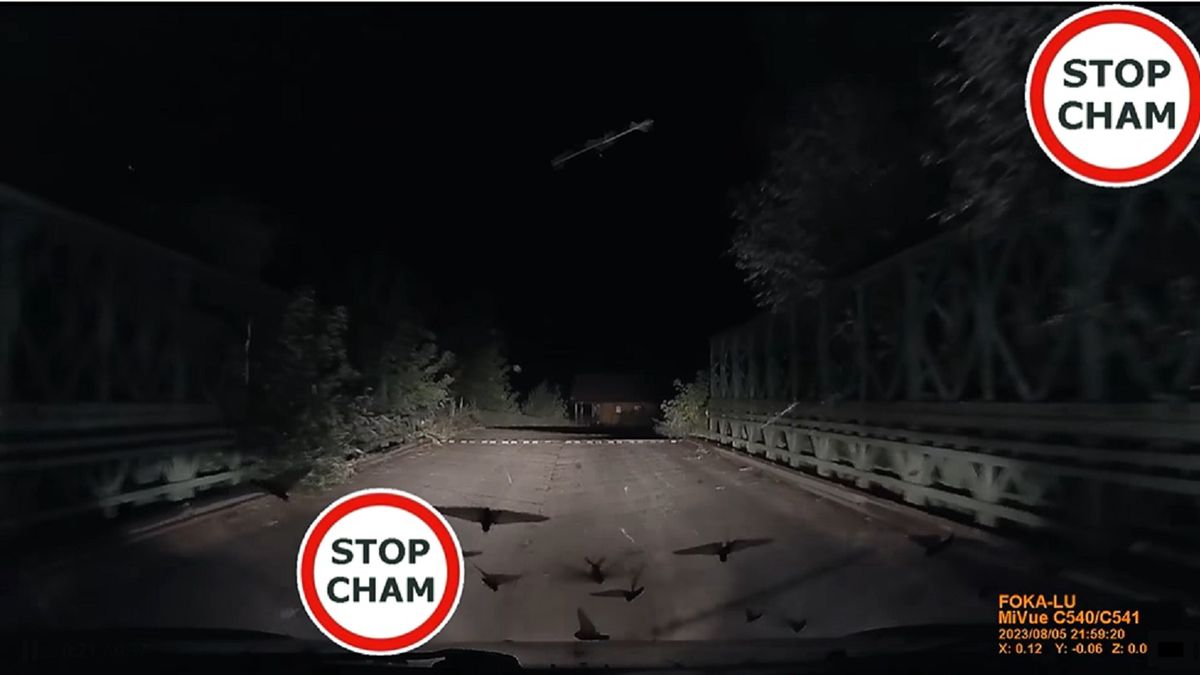 STOP CHAM prezentuje atak jętek