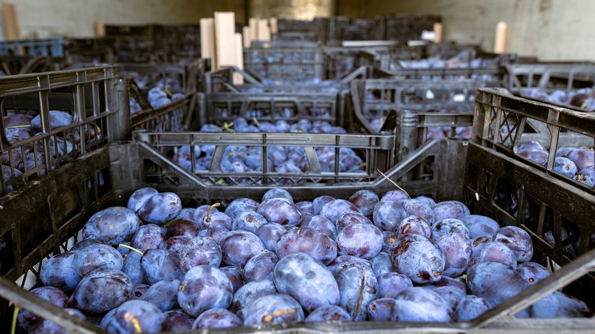 Rolnicy skarżą się w sieci