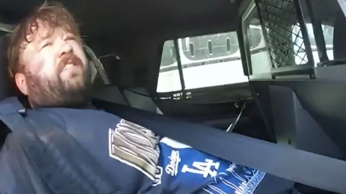 Haley Joel Osment podczas zatrzymania