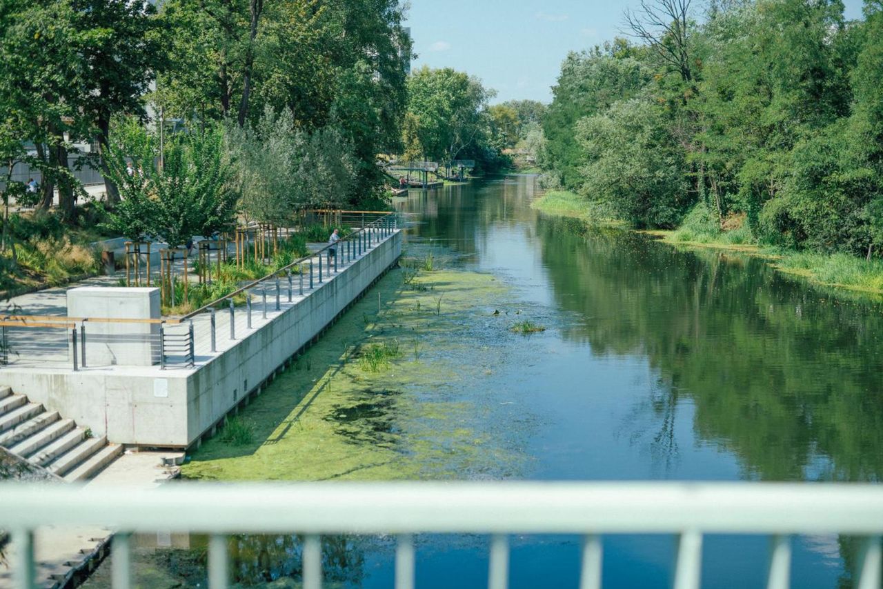 Wrocław. Zbliża się Dzień Trójkąta. Ruszyły zapisy na część wydarzeń