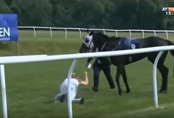 Dziennikarka łapie uciekającego konia. Wideo podbija sieć