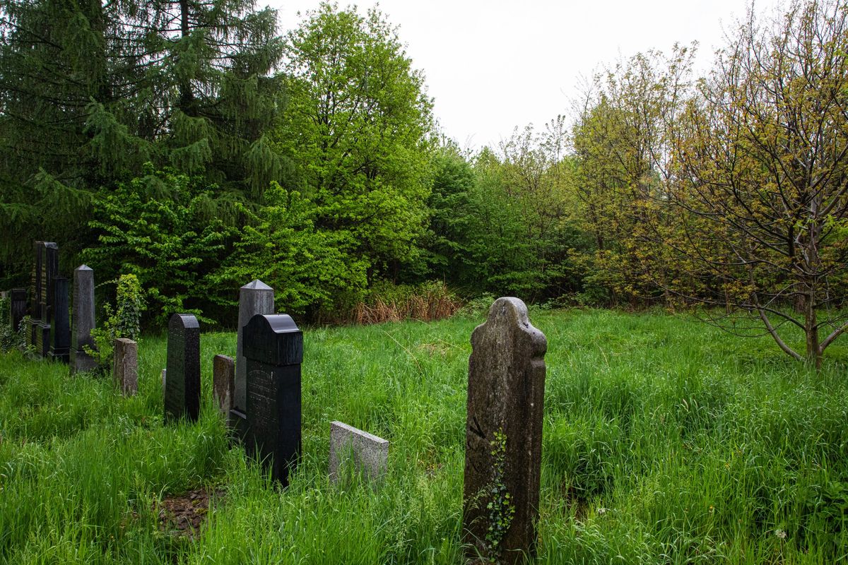 Śląskie. Na niegrzebalnej części cmentarza żydowskiego przy ul. Cieszyńskiej w Bielsku-Białej powstanie Tajemniczy Ogród.