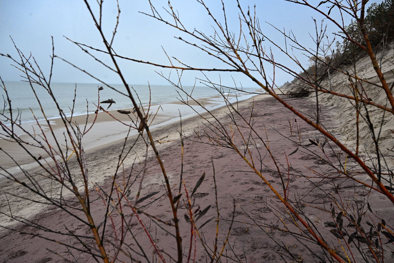 Fioletowy piasek w Mielnie
