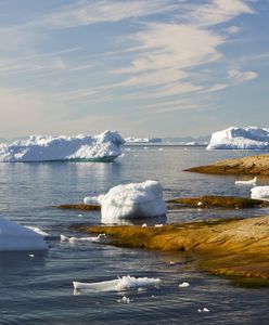 Grenlandia się topi. Nowa "gorączka złota"