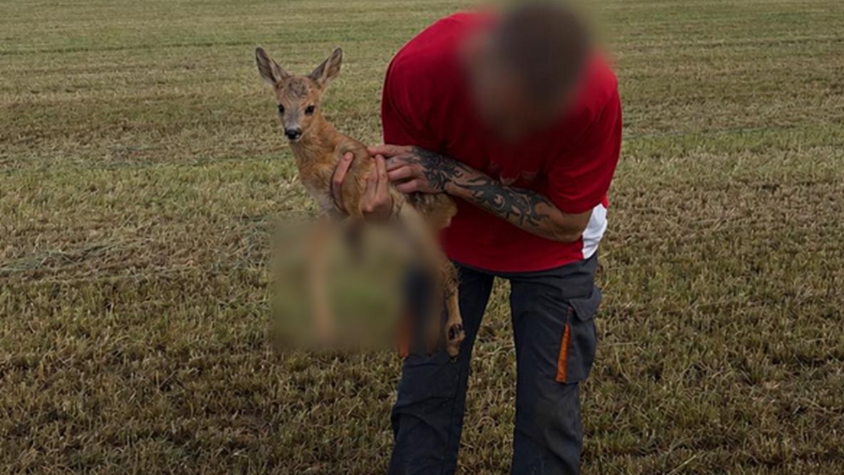 Tragiczny finał sianokosów