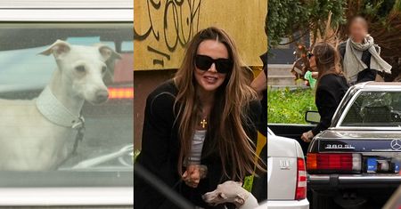 Maja Sablewska przemierza Warszawę unikatowym mercedesem, po którym buszują jej pupile. Bezpiecznie? (ZDJĘCIA)