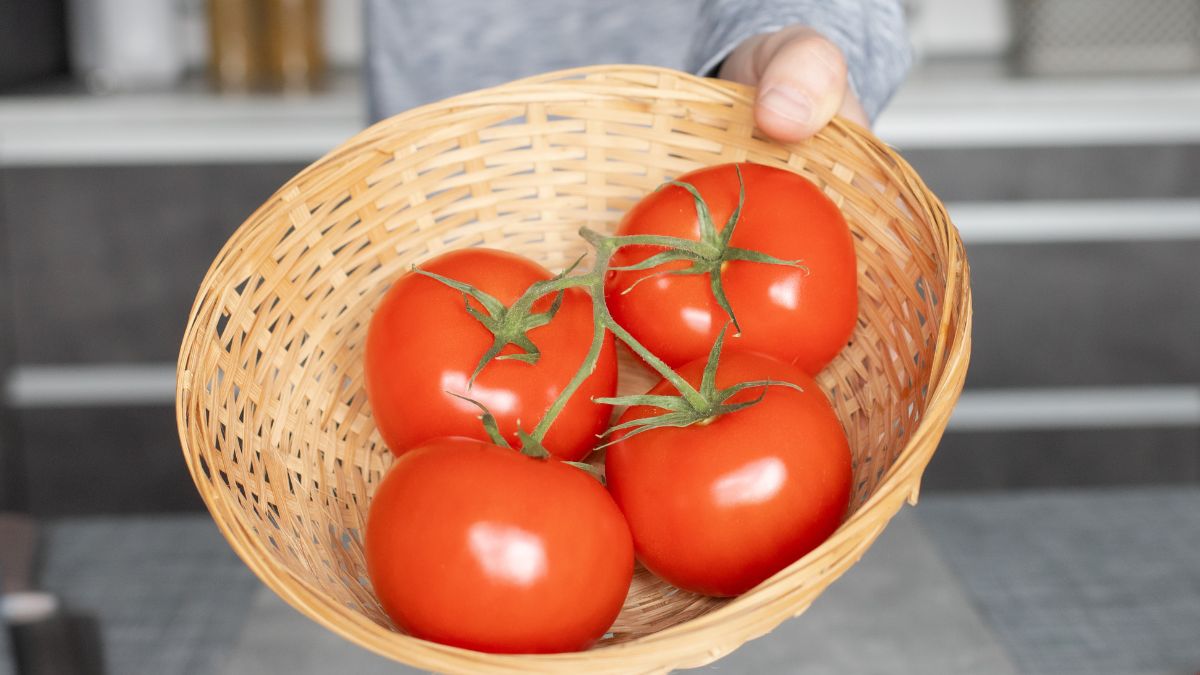 Dlaczego twoje pomidory są mdłe i szybko się psują? 