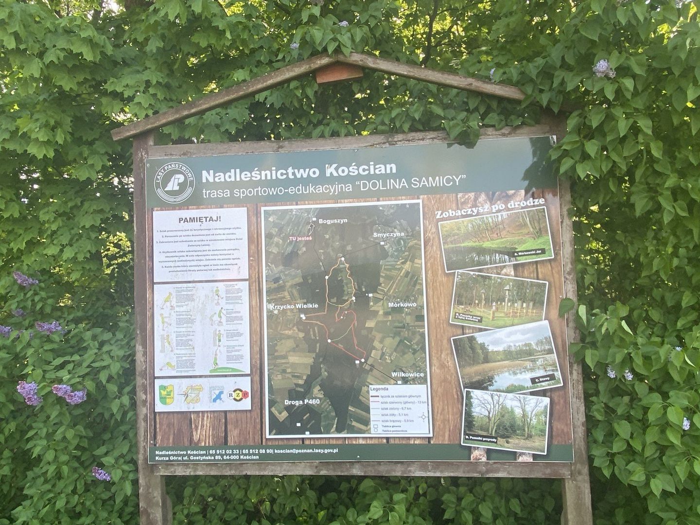 Nieopodal Leszna niesamowite wrażenie robi Mórkowski Jar ze zbiornikiem wodnym i platformą widokową. Warto tam pojechać, aby przez kilka godzin odpocząć na łonie natury