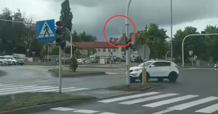 Takie zjawisko w Gnieźnie. Od razu wykonał zbliżenie
