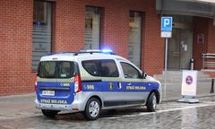 Warszawa. Zaginiona siostrzyczka. Strażnicy pomogli odnaleźć zgubę