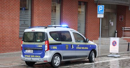 Warszawa. Zaginiona siostrzyczka. Strażnicy pomogli odnaleźć zgubę