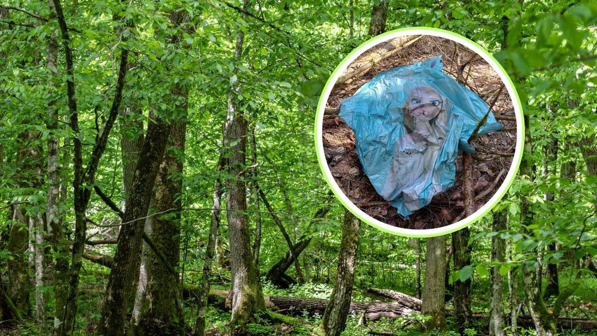 Leśnicy apelują o niezaśmiecanie lasów