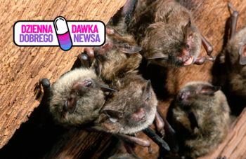 Naukowcy z Wrocławia szykują się na rekord. Policzą je 25. raz