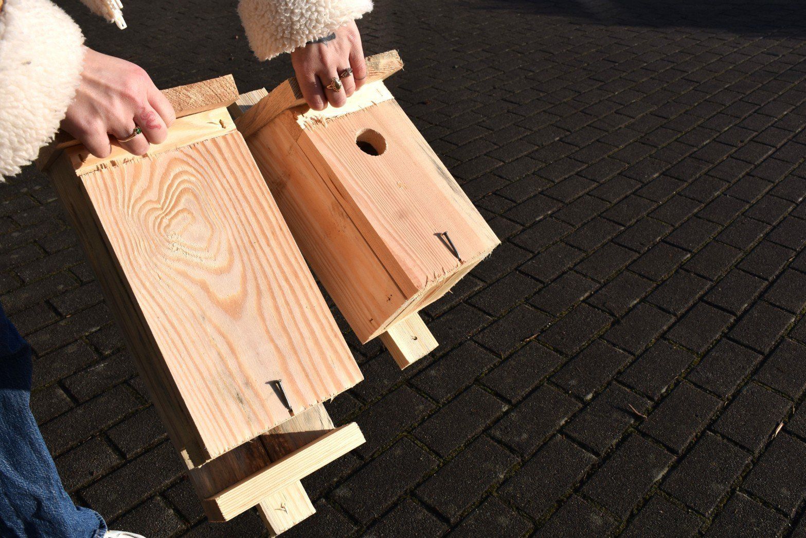 Nadleśnictwo Sławno rozwiesza budki dla nietoperzy