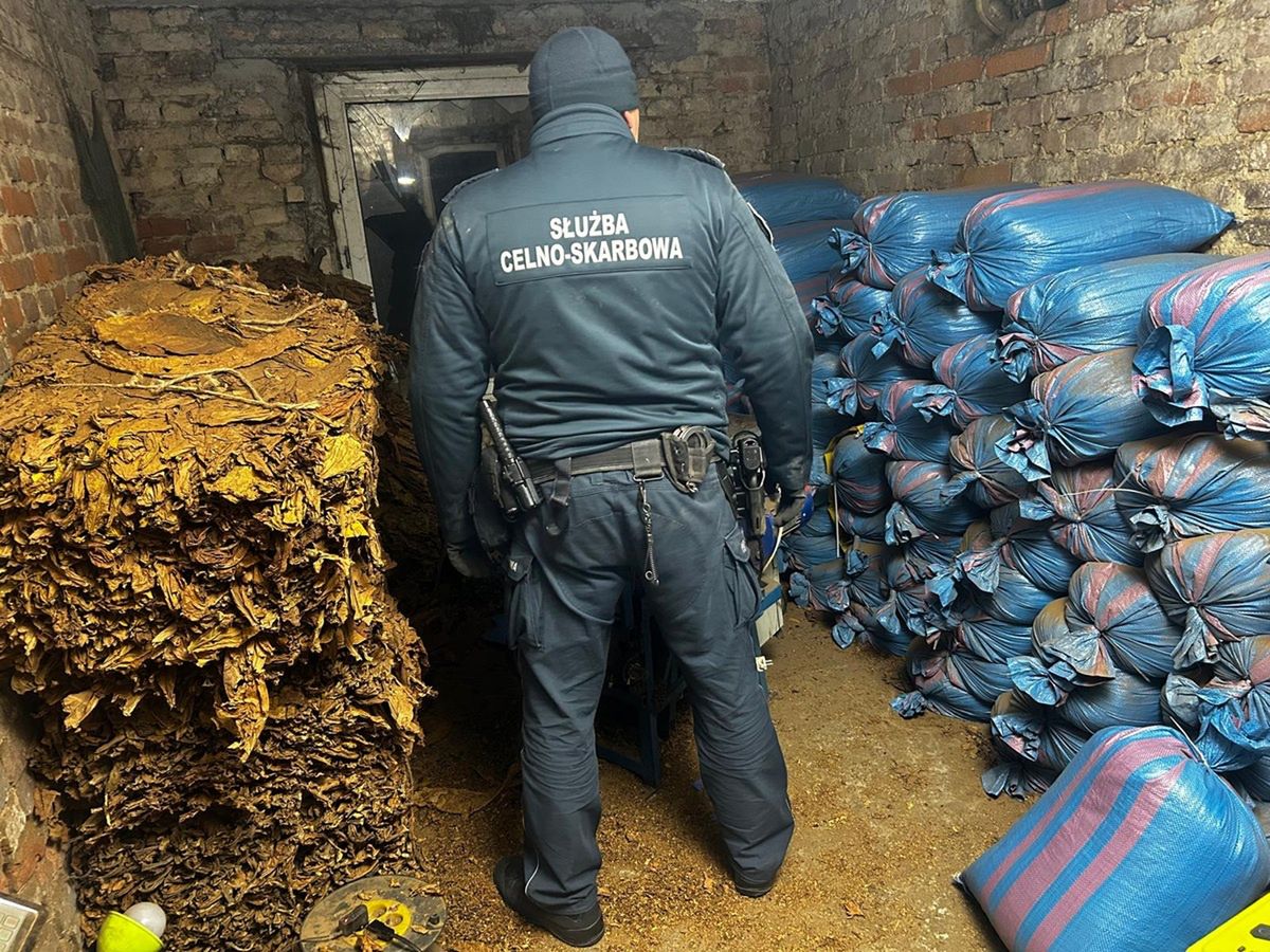Nielegalna krajalnia tytoniu zlikwidowana na Śląsku. Lubelscy funkcjonariusze KAS zabezpieczyli ponad tonę krajanki