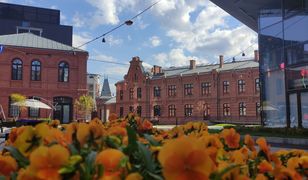 Startuje Klimatyczna Wiosna Konesera, czyli kilkadziesiąt bezpłatnych ekowydarzeń w Centrum Praskim Koneser