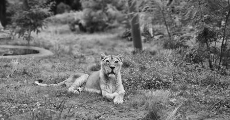Tragedia w łódzkim zoo. "Tegoroczne walentynki były smutne"