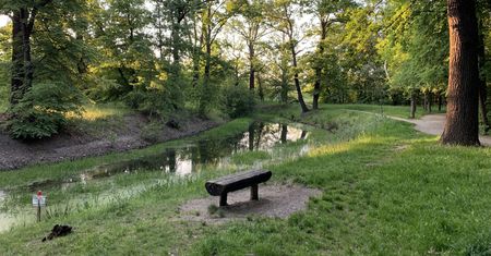 Wrocław. Będziemy mieć swój Central Park. Kępa Mieszczańska zmieni swoje oblicze
