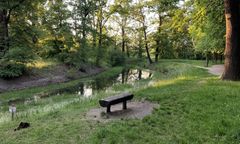 Wrocław. Będziemy mieć swój Central Park. Kępa Mieszczańska zmieni swoje oblicze