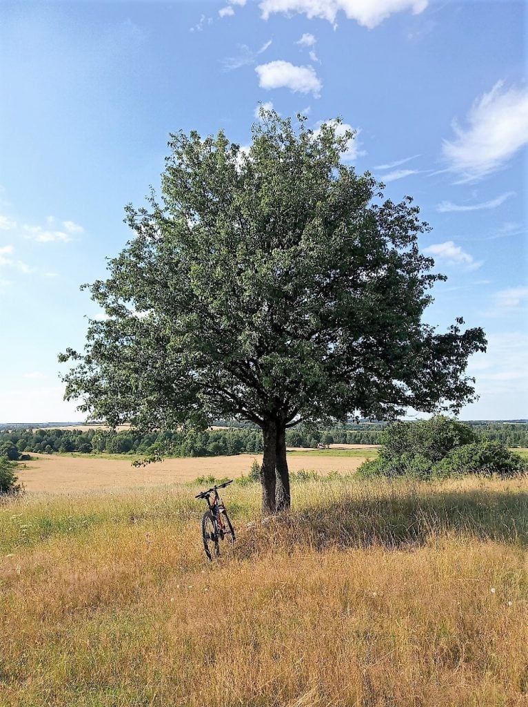 Trasy rowerowe jura krakowsko-częstochowska