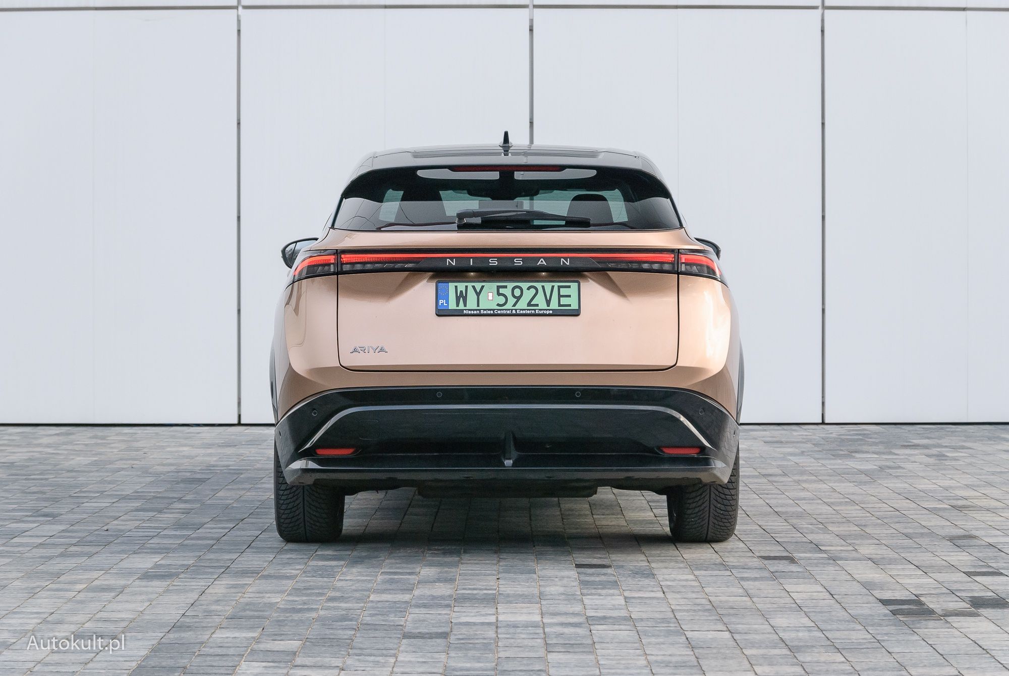 Nissan Ariya