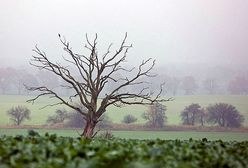 Sprawdź pogodę na weekend!
